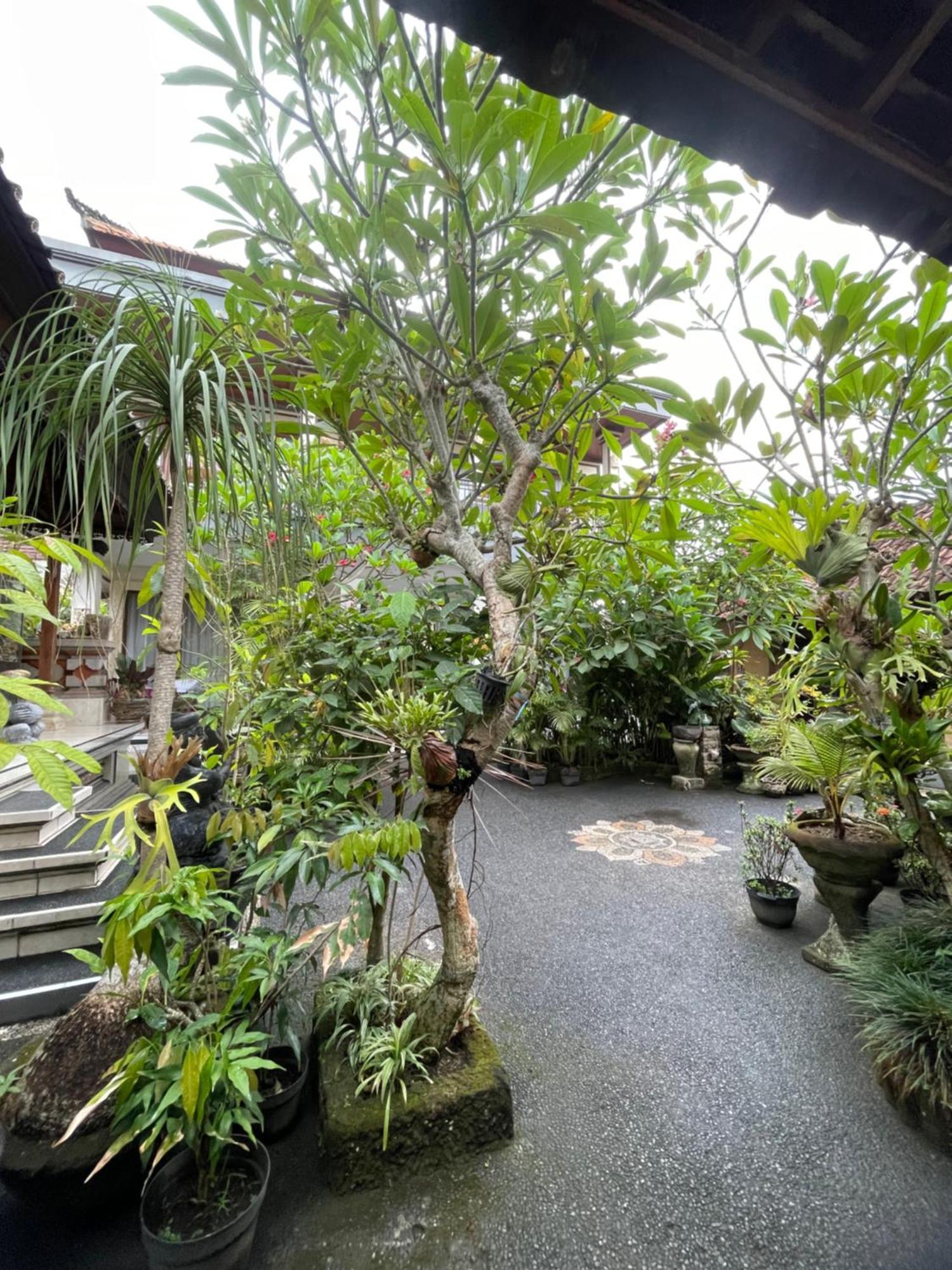 Suntari Homestay Ubud Exterior foto